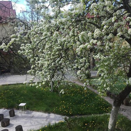 Квартира-Студія Шале Трускавец Екстериор снимка