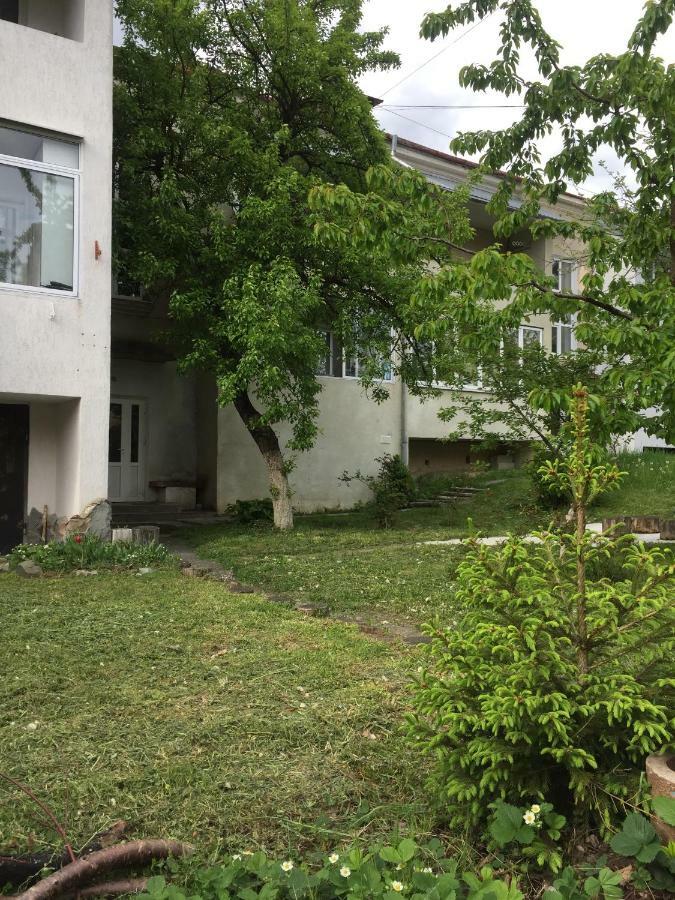 Квартира-Студія Шале Трускавец Екстериор снимка